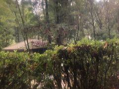 -明月山天沐温泉度假村