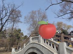 -北陵公园