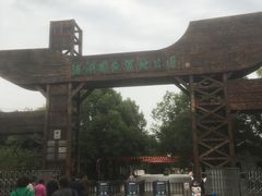 -溱湖国家湿地公园