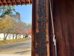 -醍醐寺