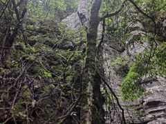 -梭布垭石林景区