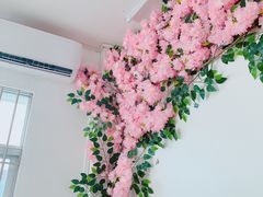 -洋洋冰粉