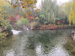 -泉城广场