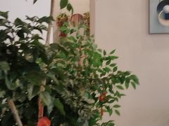 -耳韵·变装·躺式采耳SPA馆(汇海广场店)