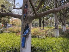 -白塘生态植物园