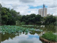 -人民公园(罗湖区)