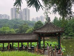 -龙头寺公园