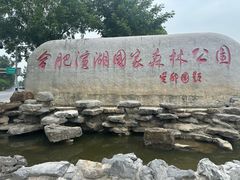 -合肥滨湖国家森林公园
