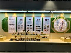 -广东中医药博物馆