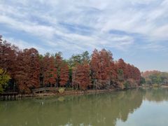 -东湖落雁景区