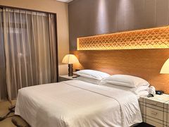 -西安赛瑞喜来登大酒店