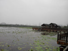 android_upload_pic-东丽湖风景区