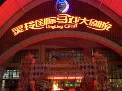 -灵玲国际马戏城