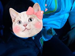 -大连圣亚海洋世界