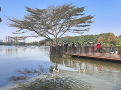 -海珠湖公园