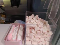 -狐狸和向日葵(北京路店)