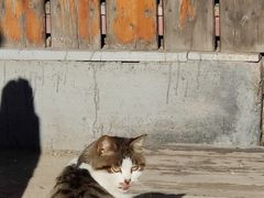 -蟠龙山长城景区