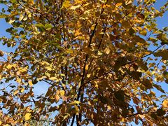 -哈密回王府景区