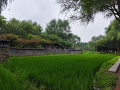 -北坞公园