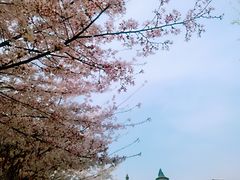 -西安青龙寺遗址景区