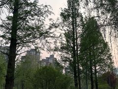 -洋湖国家湿地公园