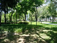 -文华公园(禅城区)