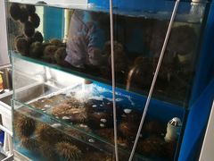 -海胆小馆(东北水饺·春柳店)