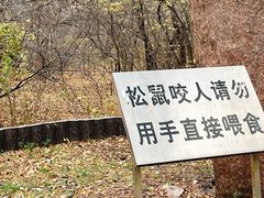-北陵公园