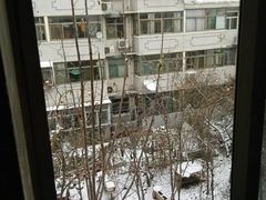 -马大刚白记包子