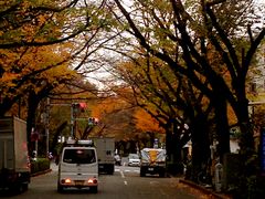 -三鹰之森吉卜力美术馆