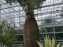 -南山植物园