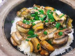 -红星光发煲仔饭(大石街店)