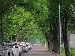 -同里国家湿地公园