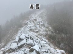 -阳台山自然风景区
