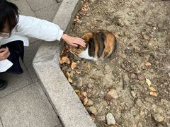 -赵元章肉骨烧(山塘街店)