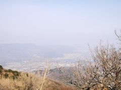 -北京西山国家森林公园