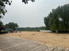 -大兴滨河森林公园