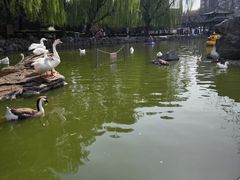 -团结湖公园