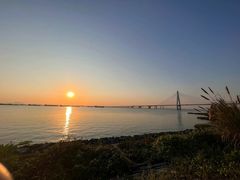 -芒洲湿地公园