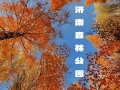 -济南森林公园