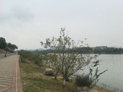 -羊山湖公园