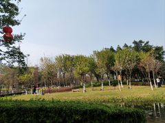 -映月湖公园