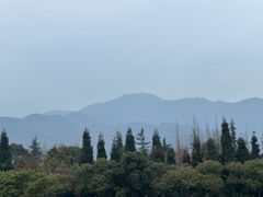 -青城山