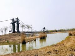 -西青郊野公园