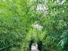 -竹子庵公园