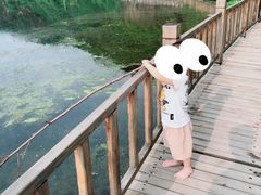 -白河湾生态旅游一条川