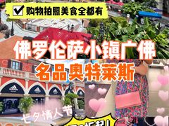 -佛罗伦萨小镇广佛名品奥特莱斯(疏港路店)