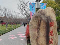 -高东镇樱花园