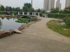 android_upload_pic-前关湿地公园