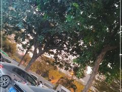 -渔舟意·湖南家宴(萝岗纳金城店)